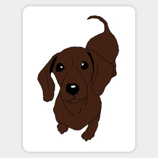 Dachshund Sticker